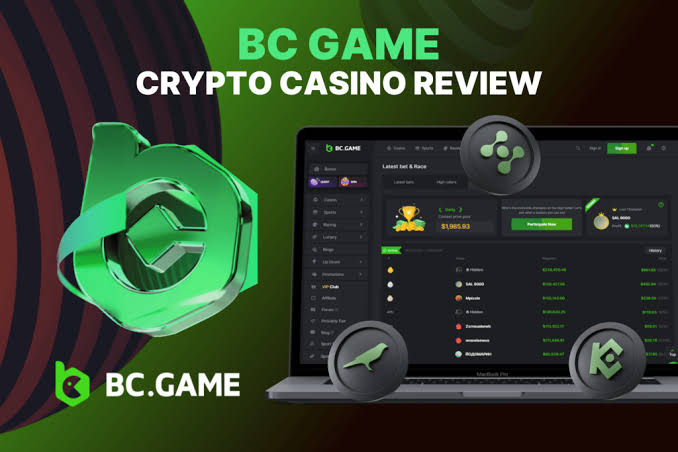 Exploring the Innovative Features of BC.Game Platform -376180854 Exploring the Innovative Features of BC.Game Platform -376180854
